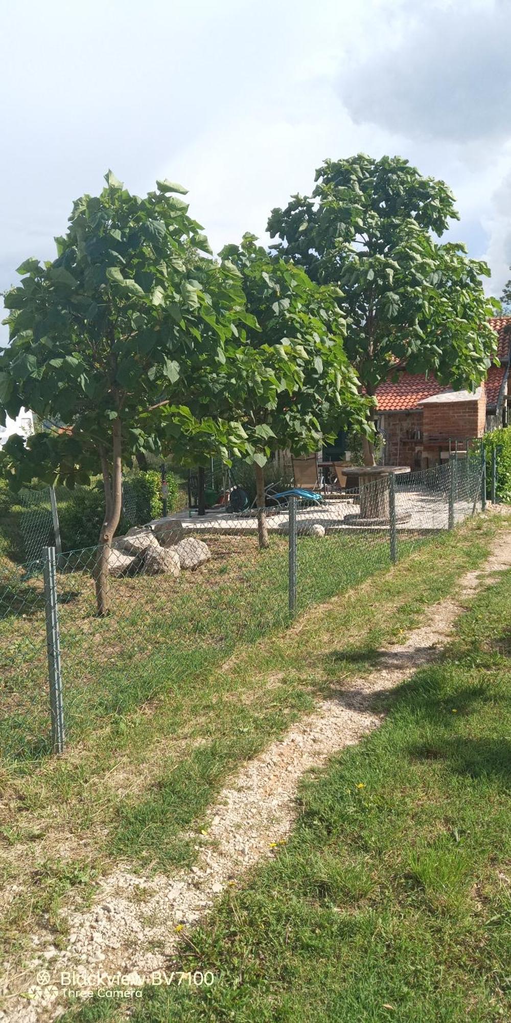 Stone House Vlasta Drniš Exterior foto